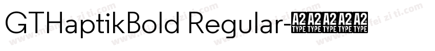 GTHaptikBold Regular字体转换